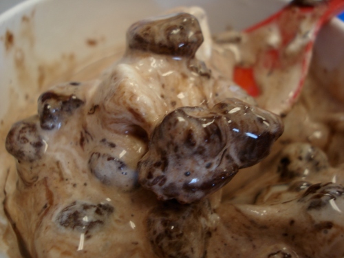 Midnight Truffle Blizzard from Dairy Queen (closeup)